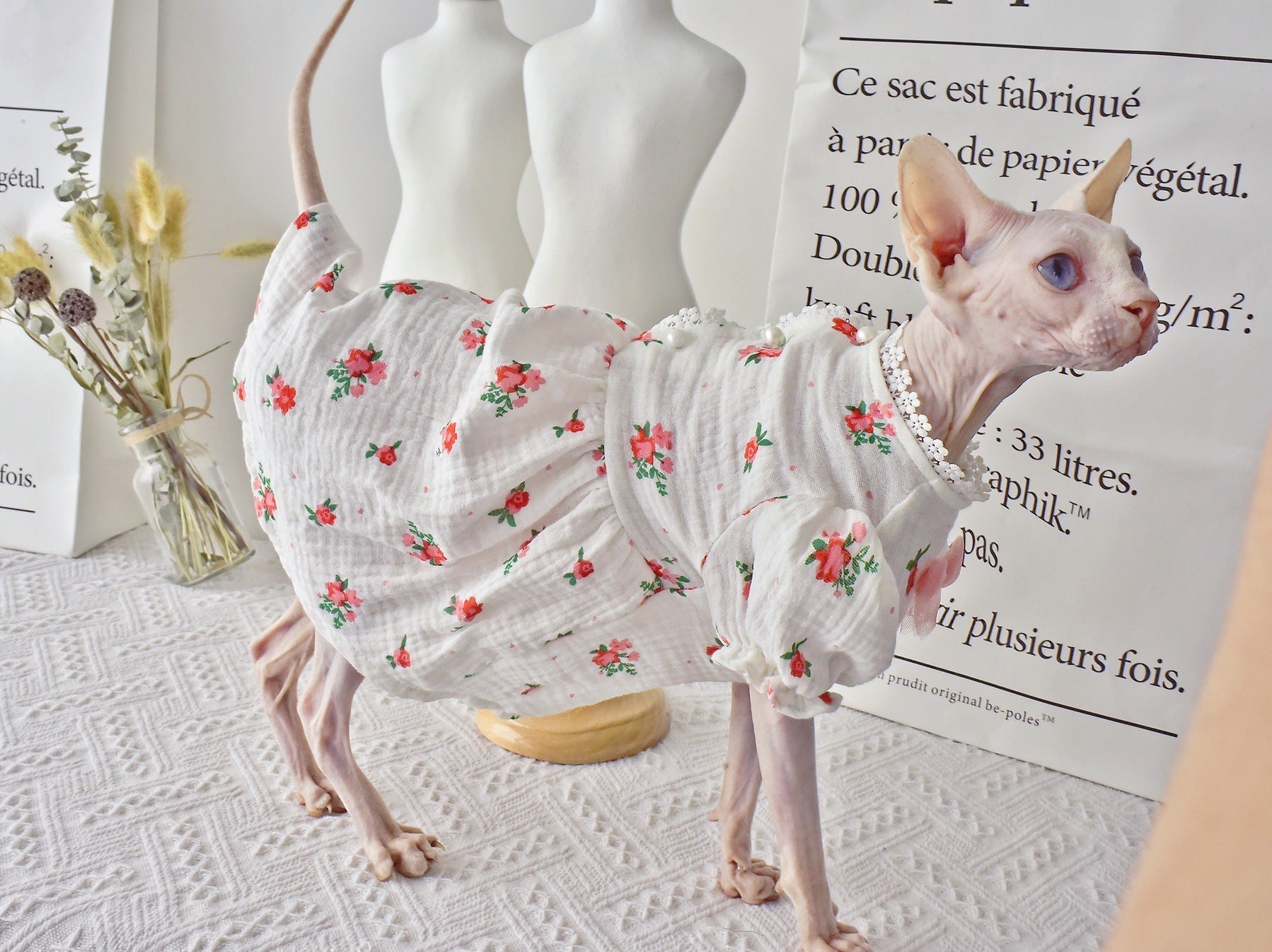 HKM-3904957 Hairless Cat Summer Outfit - White Rubber Pet Clothing in Sizes XS to XXL