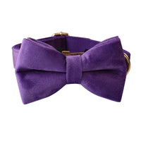 HKM-3908157 Purple Velvet Dog Collar and Leash Set with Bow Knot ¨C Casual and Suitable for All Seasons