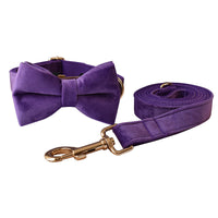 HKM-3908157 Purple Velvet Dog Collar and Leash Set with Bow Knot ¨C Casual and Suitable for All Seasons