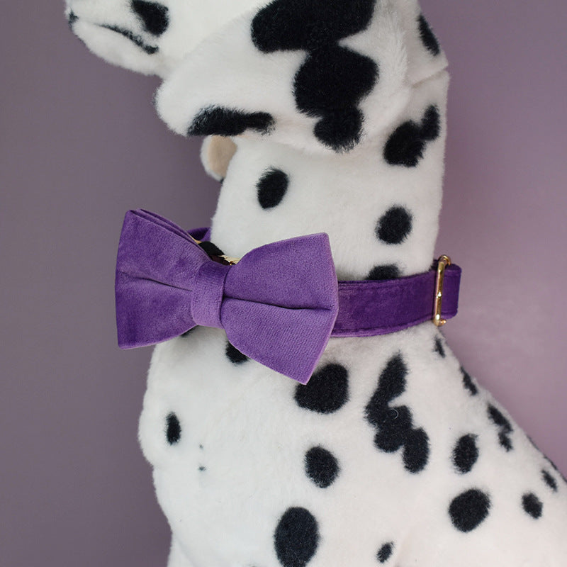 HKM-3908157 Purple Velvet Dog Collar and Leash Set with Bow Knot ¨C Casual and Suitable for All Seasons