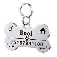 HKM-3911997 Personalized Stainless Steel Pet ID Tag with Natural Zircon Pendant