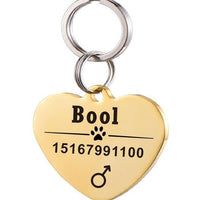 HKM-3911997 Personalized Stainless Steel Pet ID Tag with Natural Zircon Pendant