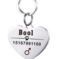 HKM-3911997 Personalized Stainless Steel Pet ID Tag with Natural Zircon Pendant