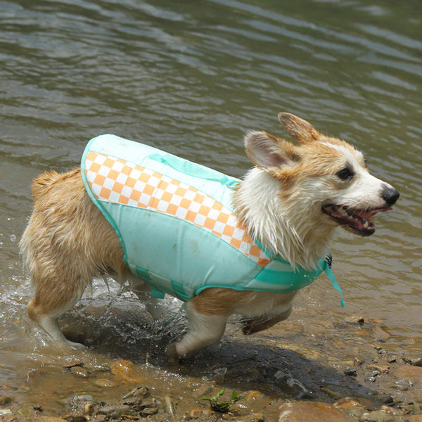 HKM-3913917 Corgi & Golden Retriever Pet Life Jacket with Plaid Contrast Colors