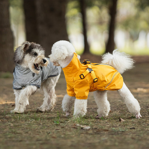 HKM-3915581 Waterproof Pet Raincoat for Medium and Small Dogs – Chest and Back Design in Camouflage, Star Gray, or Clear Yellow