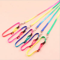 HKM-3920957 Rainbow Color Nylon Cat Leash and Dog Chain, 120cm Length, Adjustable Neck Collar 20-30cm