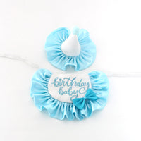 HKM-3922237 Cute Dog Birthday Bib and Hat Set with Embroidery for All Seasons