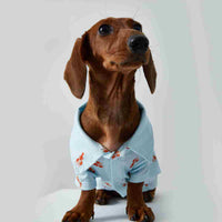 HKM-3926205 Pet Shirt for Small Dogs and Cats - Soft Fabric, Blue and Light Blue Options, Multiple Sizes Available