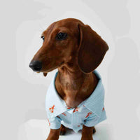 HKM-3926205 Pet Shirt for Small Dogs and Cats - Soft Fabric, Blue and Light Blue Options, Multiple Sizes Available