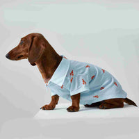 HKM-3926205 Pet Shirt for Small Dogs and Cats - Soft Fabric, Blue and Light Blue Options, Multiple Sizes Available
