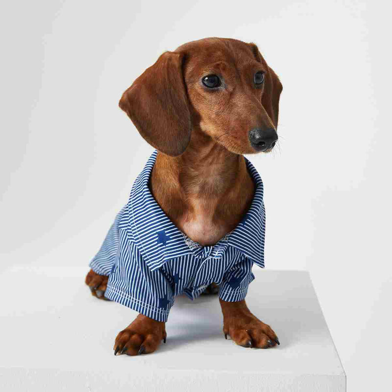 HKM-3926205 Pet Shirt for Small Dogs and Cats - Soft Fabric, Blue and Light Blue Options, Multiple Sizes Available