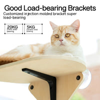 HKM-3929021 Glass Wall Chamfer Cat Scratch Tree with Strong Adhesive Suckers and Simple Design