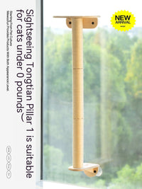 HKM-3929021 Glass Wall Chamfer Cat Scratch Tree with Strong Adhesive Suckers and Simple Design