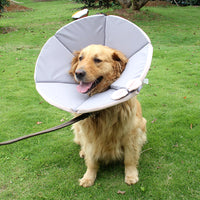 HKM-3929405 Dog Recovery Collar - Adjustable Cloth Elizabethan Cone for Comfort in Yellow, Black, Pink, Gray (Sizes XS-XXXL)