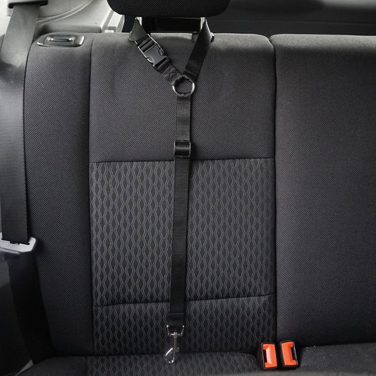 HKM-3936957 Adjustable Nylon Pet Safety Leash for Secure Traction and Control