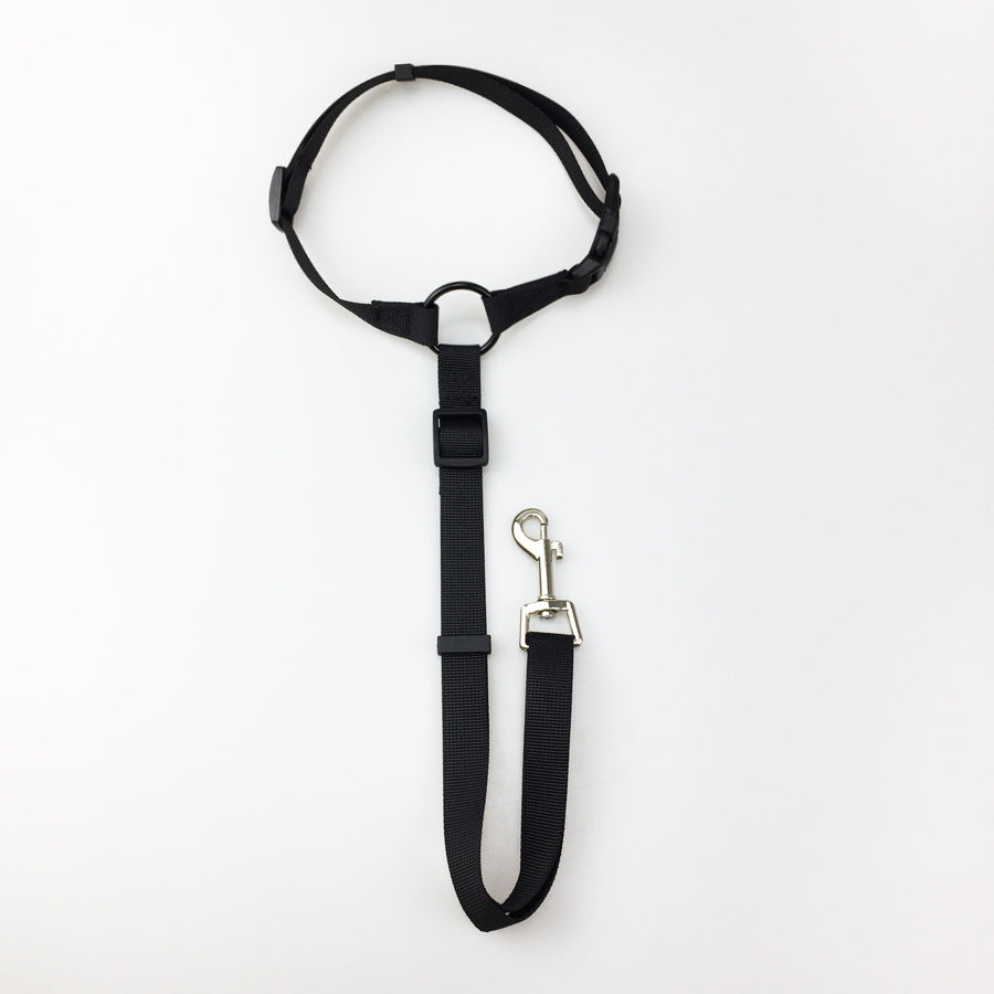 HKM-3936957 Adjustable Nylon Pet Safety Leash for Secure Traction and Control