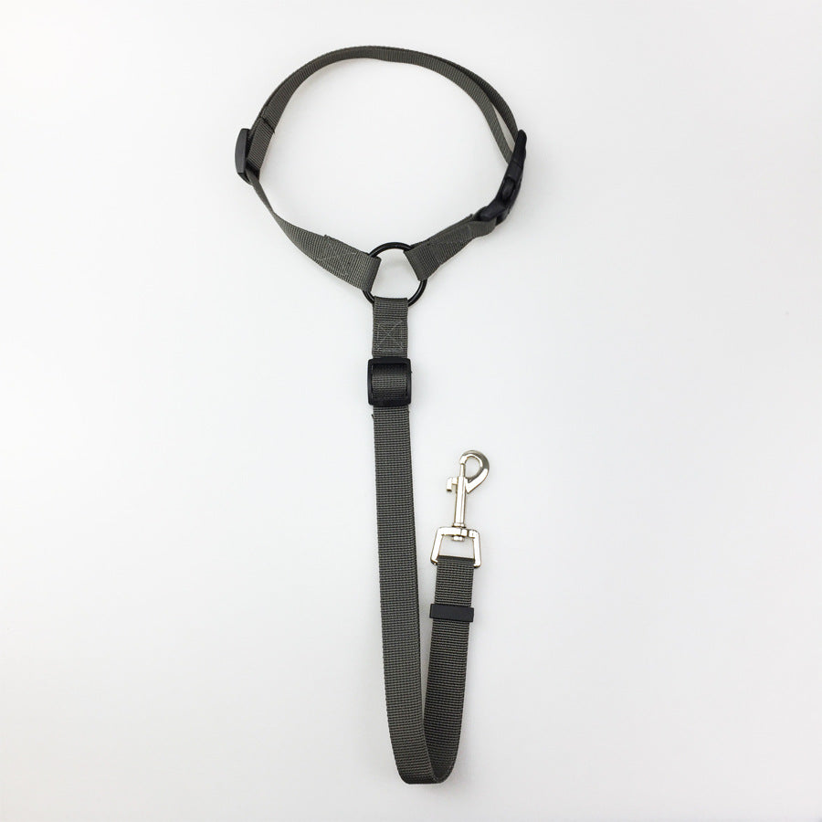 HKM-3936957 Adjustable Nylon Pet Safety Leash for Secure Traction and Control