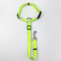 HKM-3936957 Adjustable Nylon Pet Safety Leash for Secure Traction and Control
