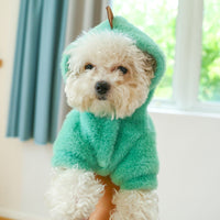 HKM-3941309 Cozy Little Flying Dragon Hoodie for Pets - Warm Casual Apparel in Multiple Sizes