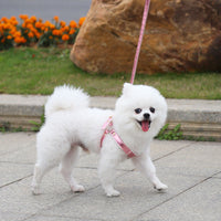 HKM-3942205 Traction Suit for Small and Medium Dogs with Leash - Multiple Color Options Available
