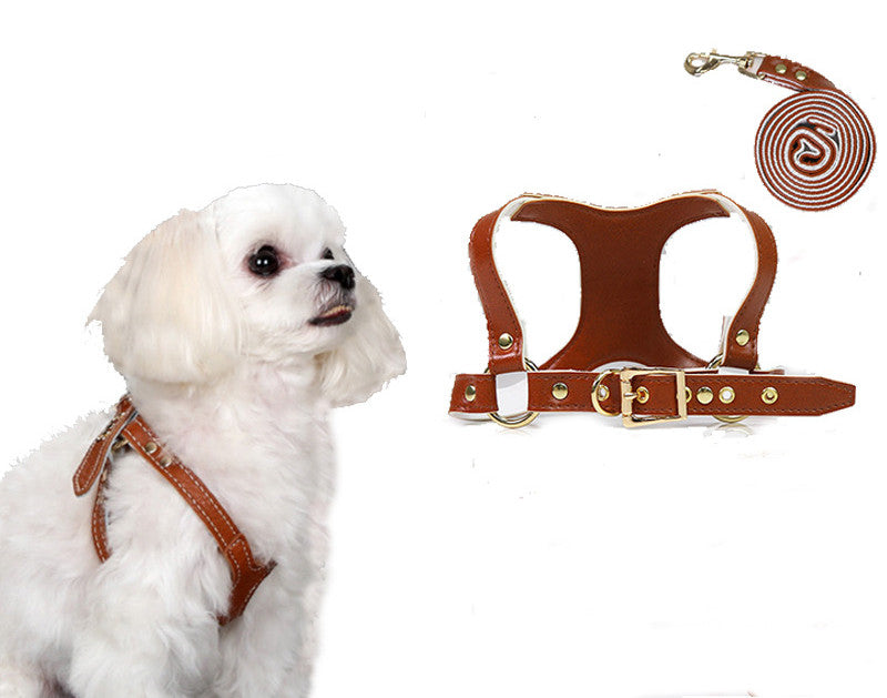 HKM-3942205 Traction Suit for Small and Medium Dogs with Leash - Multiple Color Options Available