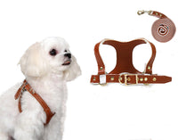 HKM-3942205 Traction Suit for Small and Medium Dogs with Leash - Multiple Color Options Available