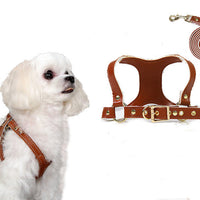 HKM-3942205 Traction Suit for Small and Medium Dogs with Leash - Multiple Color Options Available