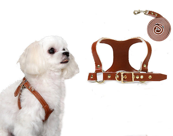 HKM-3942205 Traction Suit for Small and Medium Dogs with Leash - Multiple Color Options Available