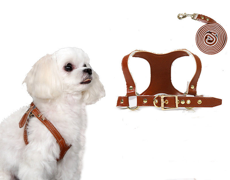 HKM-3942205 Traction Suit for Small and Medium Dogs with Leash - Multiple Color Options Available
