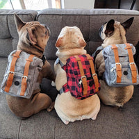 HKM-3945149 Pet Self Backpack for Small to Medium Dogs - Retro Design, Adjustable Neck and Bust окружность