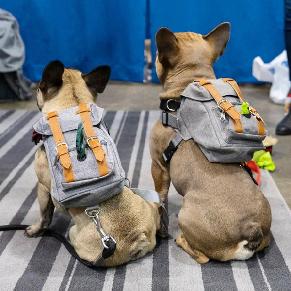 HKM-3945149 Pet Self Backpack for Small to Medium Dogs - Retro Design, Adjustable Neck and Bust окружность