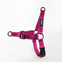 HKM-3947965 Reflective Adjustable Nighttime Pet Dog Harness with Nylon Chest Strap and Leash Options