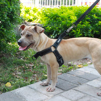 HKM-3947965 Reflective Adjustable Nighttime Pet Dog Harness with Nylon Chest Strap and Leash Options