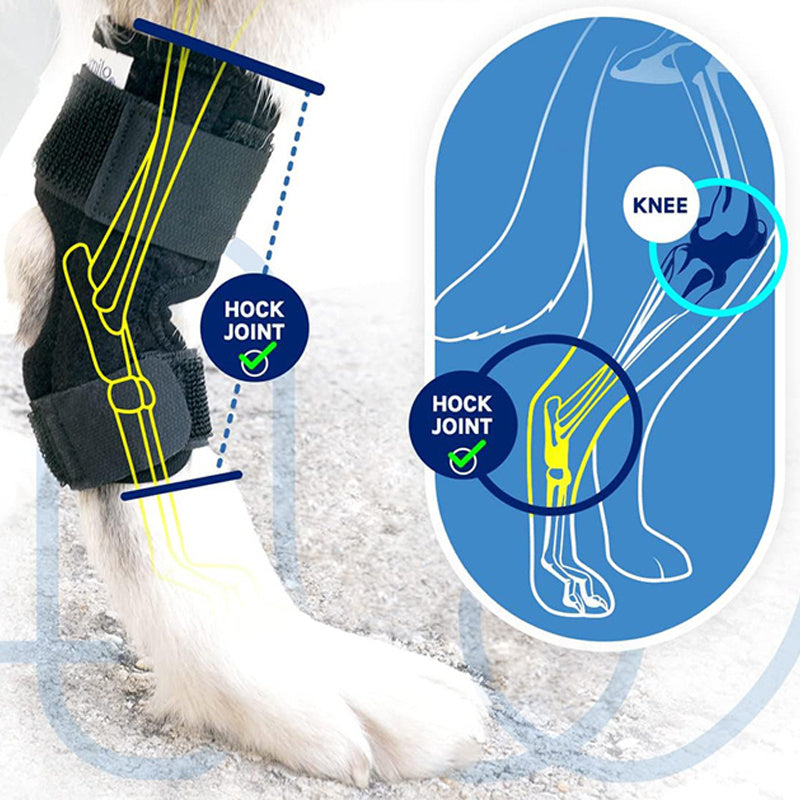 HKM-3951933 Pet Knee Pad for Dogs - ACL Ligament Support for Joint Injury Recovery - Breathable Hock Protector - Available in S/M/L