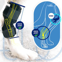 HKM-3951933 Pet Knee Pad for Dogs - ACL Ligament Support for Joint Injury Recovery - Breathable Hock Protector - Available in S/M/L
