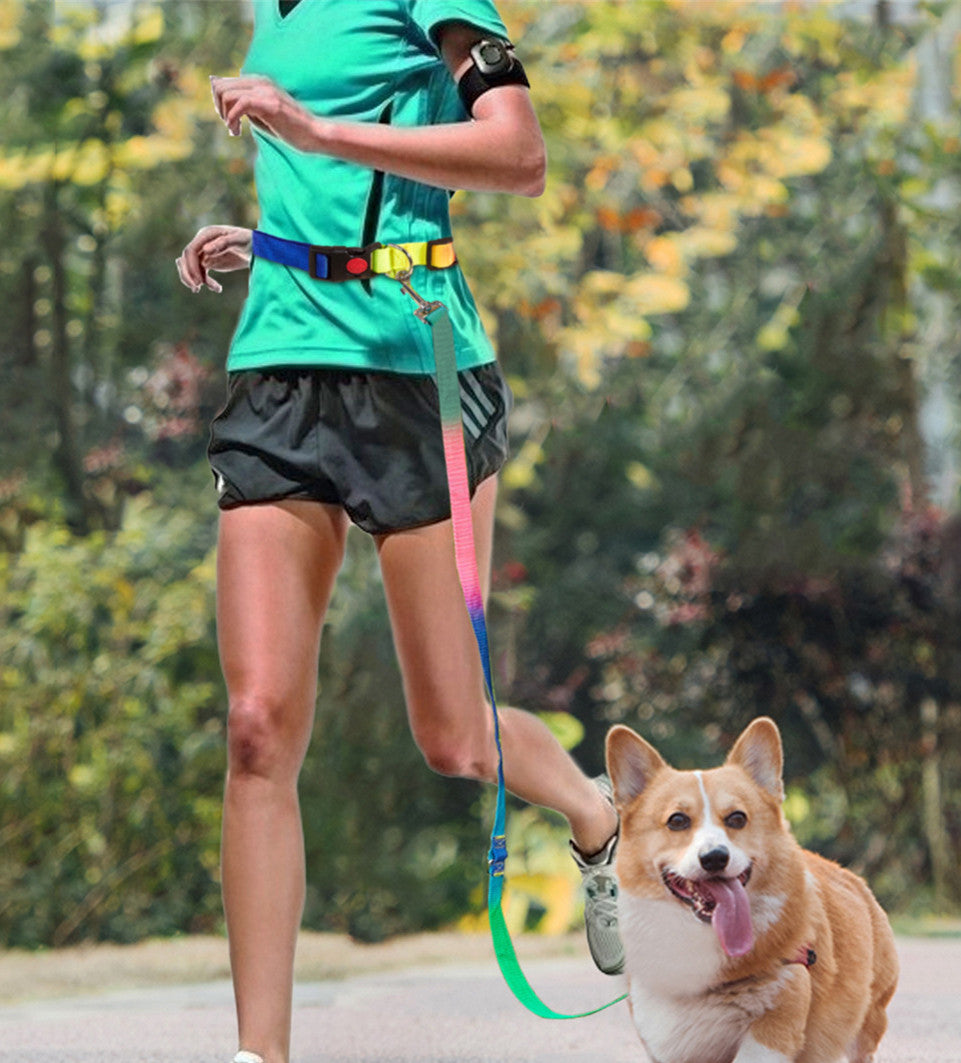 HKM-3954237 Hands-Free Pet Shoulder Traction Lead - Adjustable Nylon Harness, Black, 2.5cm Width, 180cm Length, Fits Waist 75-115cm