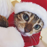 HKM-3955005 Red Short Plush Christmas Hat and Scarf Set for Small Pets