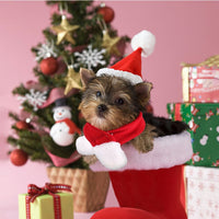 HKM-3955005 Red Short Plush Christmas Hat and Scarf Set for Small Pets