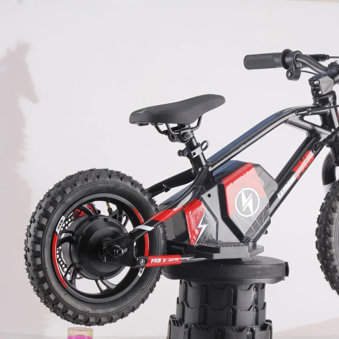 HKM-395731 Electric Balance Bike for Kids - 12/16 Inch, 150W Motor, Aluminum Frame, 2-Speed, Drum Brake, Ages 3-8, CE Certified