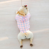 HKM-3960765 Plaid Teddy Schnauzer Jacket - Cotton Two-Legged Clothing in Green and Pink, Sizes M to 3XL