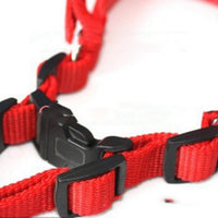 HKM-3969725 Soft Lining Polypropylene Foam Pet Harness with Traction Belt in Blue, Black, and Red