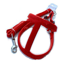 HKM-3969725 Soft Lining Polypropylene Foam Pet Harness with Traction Belt in Blue, Black, and Red