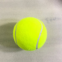 HKM-3972157 Large Dog Tennis Balls in Various Sizes and Colors with Pump Options