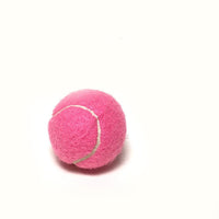 HKM-3972157 Large Dog Tennis Balls in Various Sizes and Colors with Pump Options