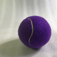 HKM-3972157 Large Dog Tennis Balls in Various Sizes and Colors with Pump Options