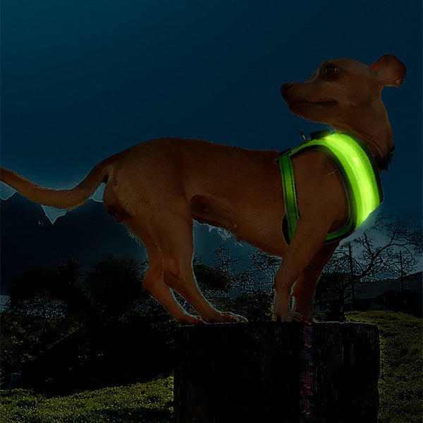 HKM-3974077 LED Dog Vest Harness with USB Charging in Multiple Colors