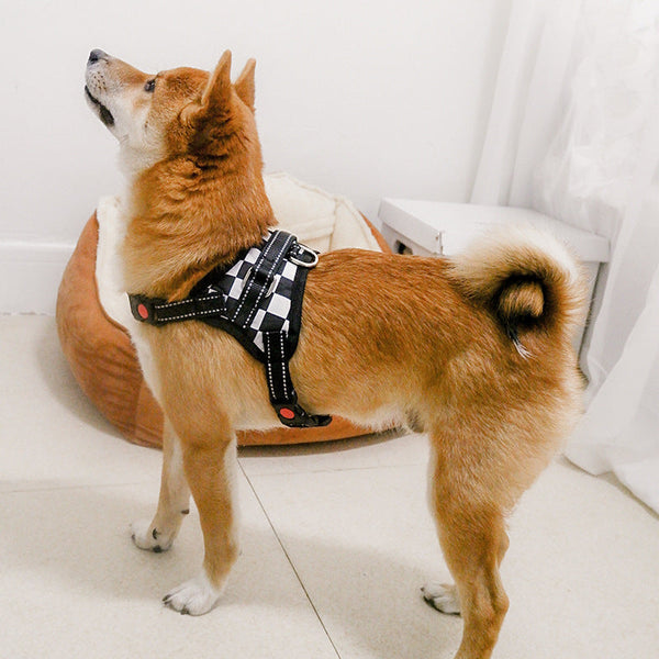 HKM-3974973 Medium to Large Dog Saddle Chest Strap - Explosion-Proof Design in Various Styles