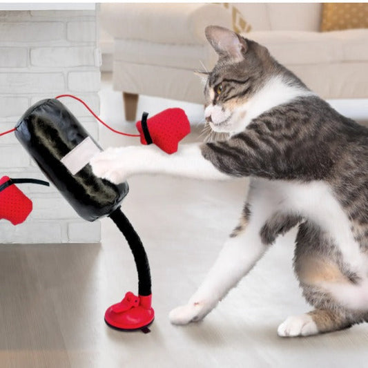 HKM-3976509 Multi-functional Silicone Cat Teasing and Boxing Toy Set