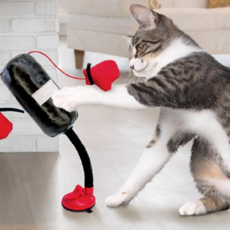 HKM-3976509 Multi-functional Silicone Cat Teasing and Boxing Toy Set