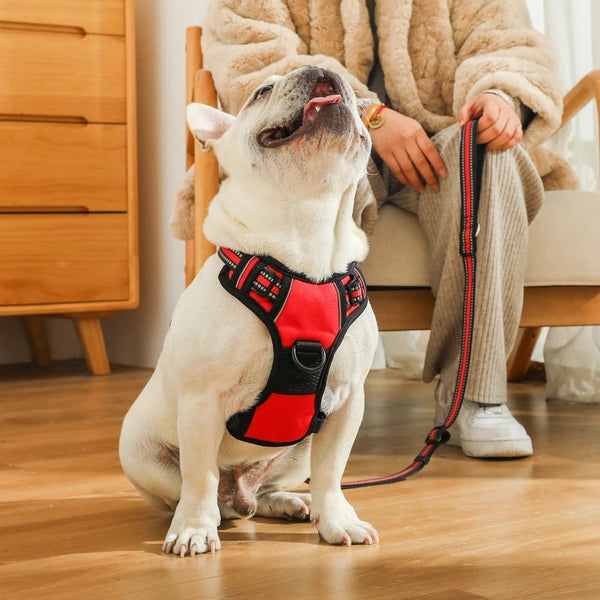 HKM-3980733 Adjustable Dog Chest Strap Vest - Explosion-Proof for Enhanced Safety and Comfort